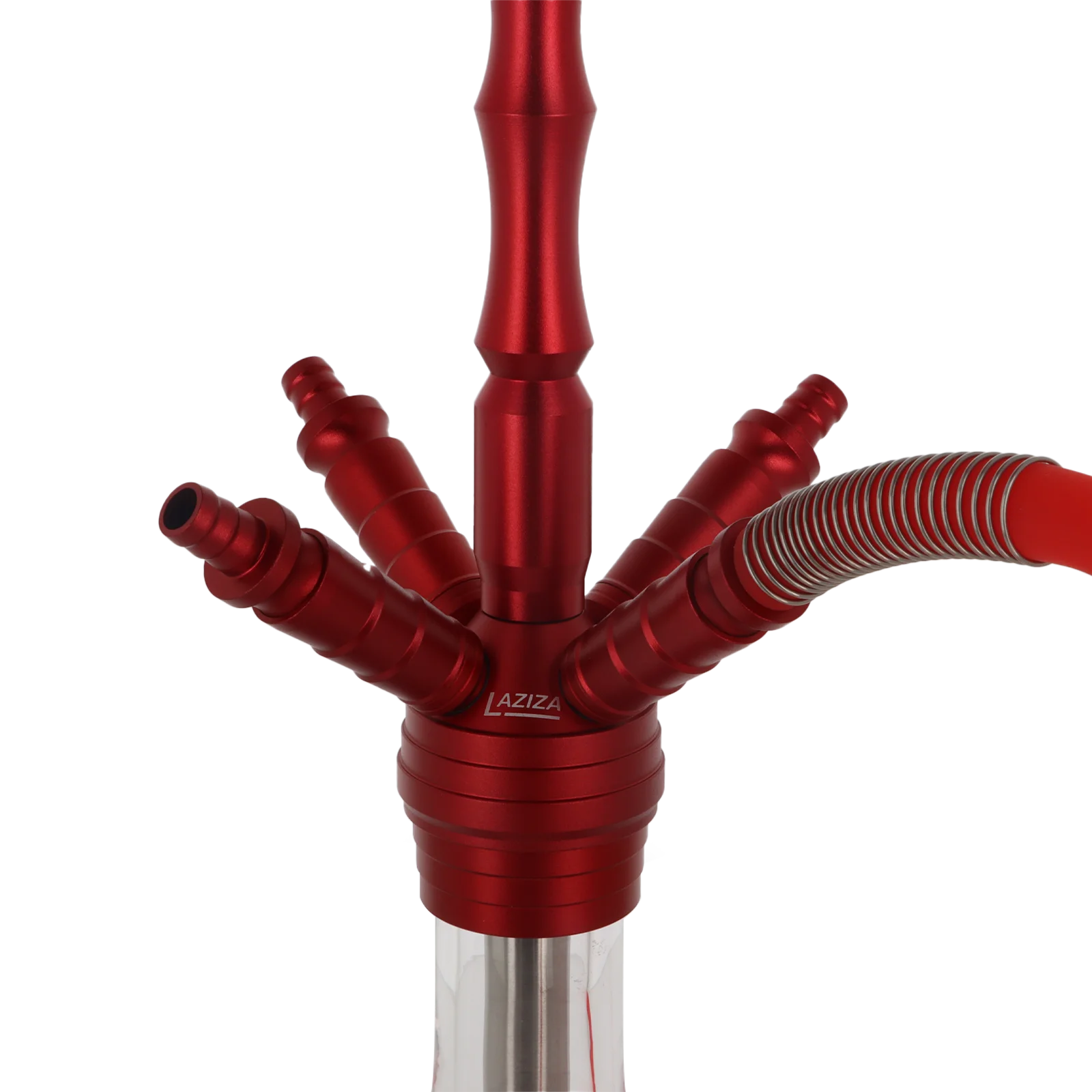 Laziza - LAC511-4 - Rot 3