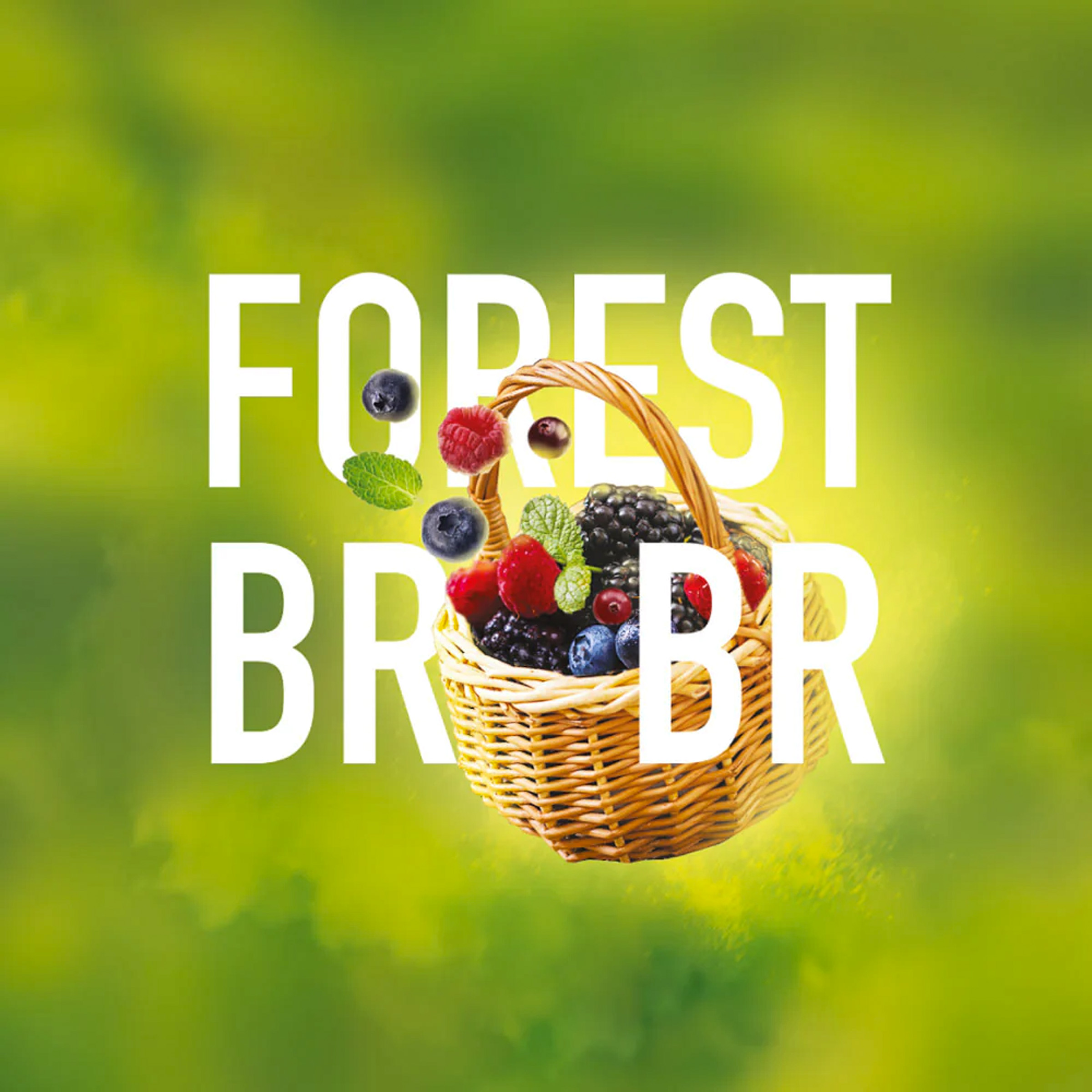 Must H - Forest Brrs - 25 g | Shisha-Tabak günstig online kaufen2