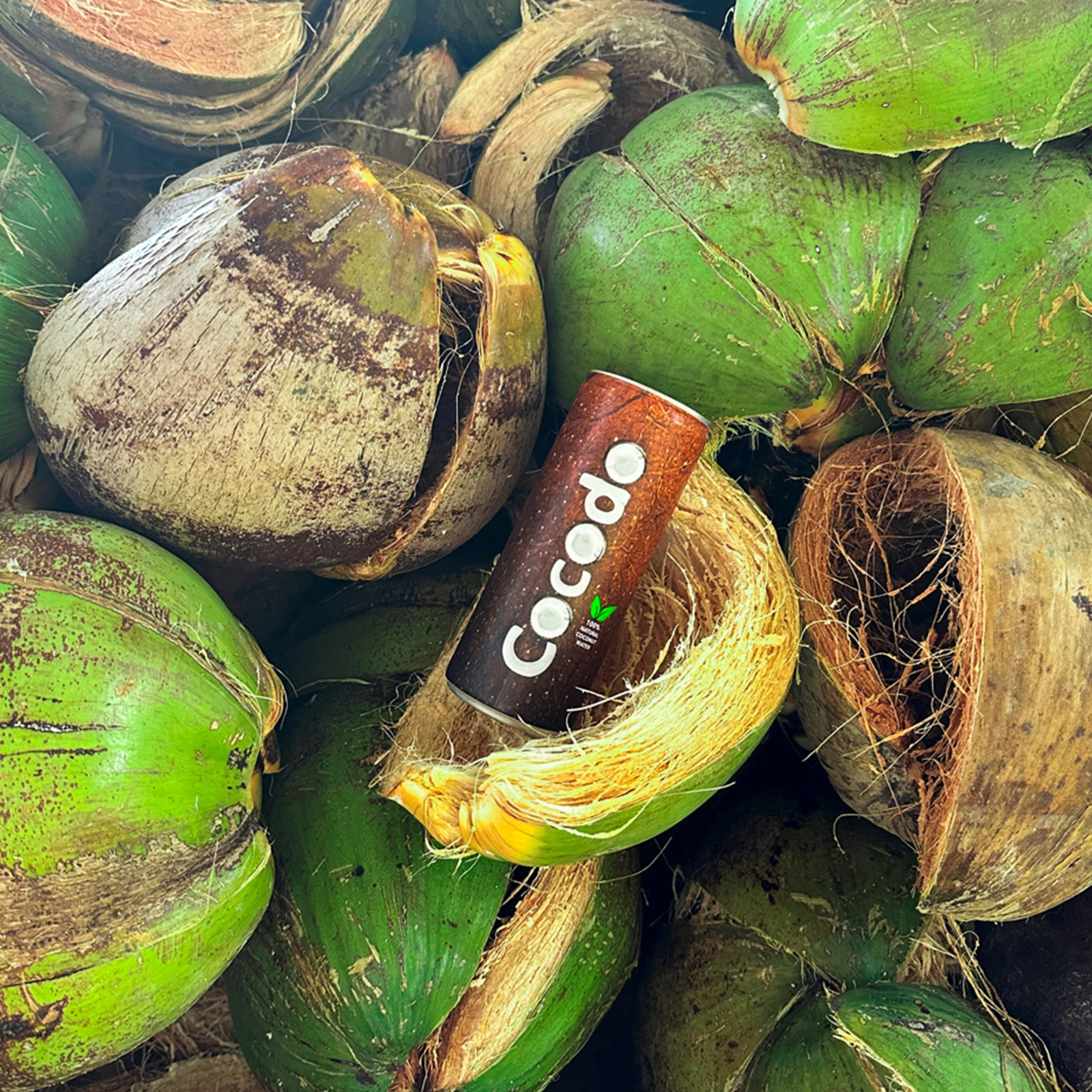 Cocodo - 100% Natürliches Kokosnusswasser | Kalorienarm, Frisch & Zusatzstofffrei 5